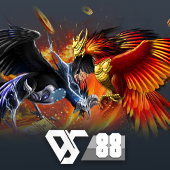 Sabong cockfighting sabong